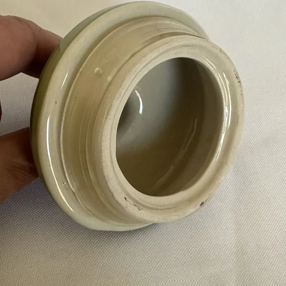 Mulberry Home Collection TROPIC TROPICAL PALM Lidded Rubber Seal 6.5